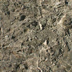 Lithic Leptosol on peridotite