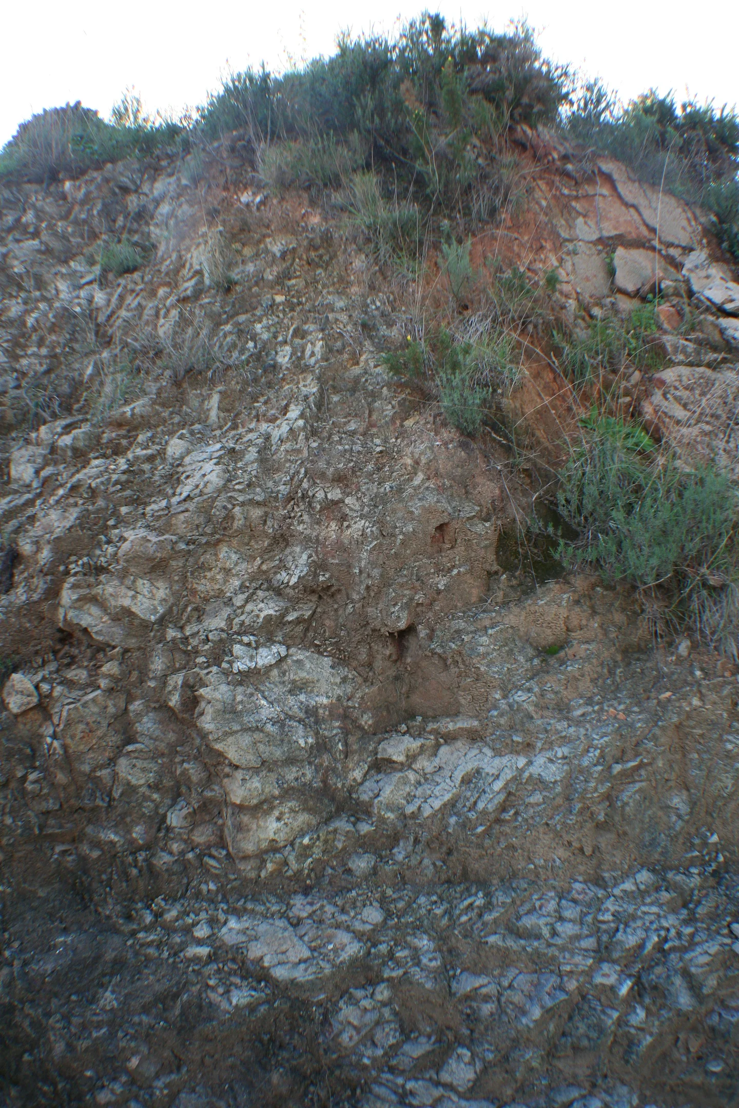 Eutric Regosol on peridotite