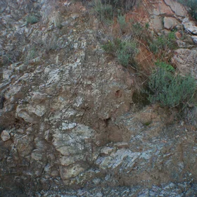 Eutric Regosol on peridotite