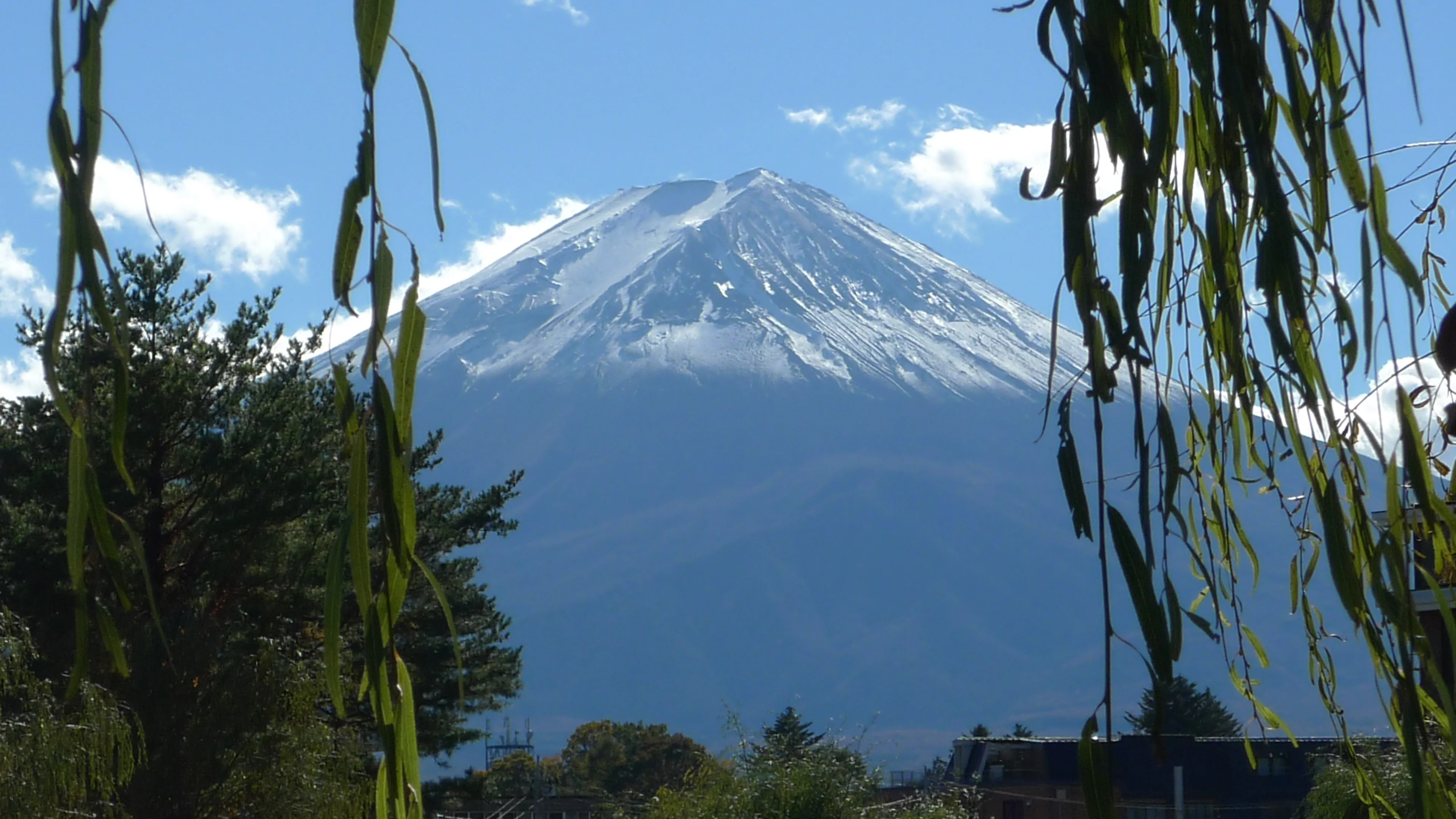 Clouds creeping up Mt. Fuji