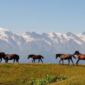 Glaciers of Svaneti Range