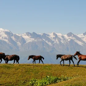 Glaciers of Svaneti Range