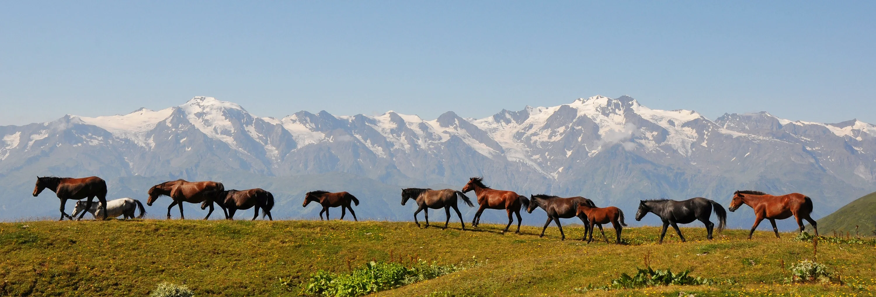 Glaciers of Svaneti Range