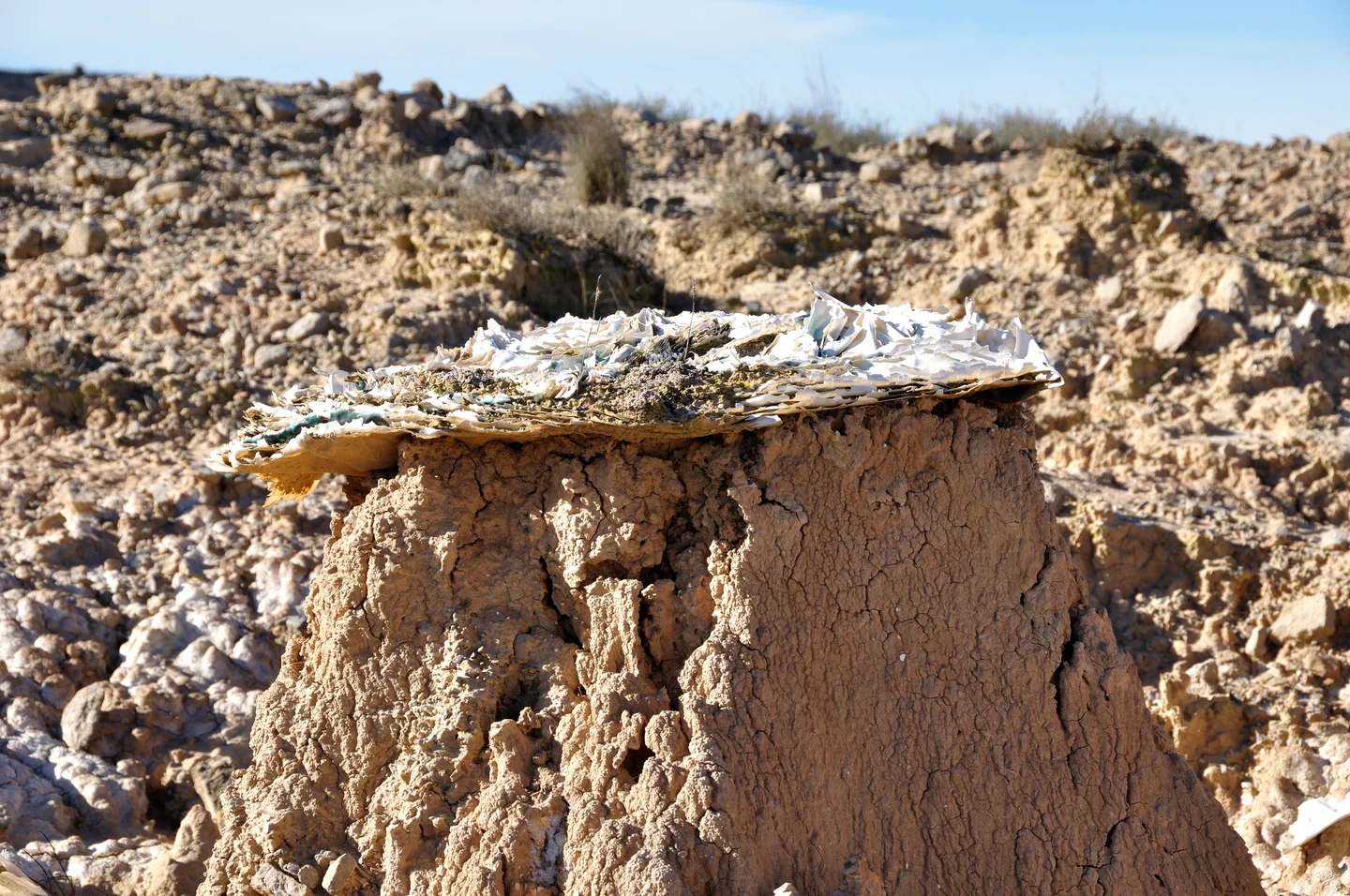 Erosion Pedestal