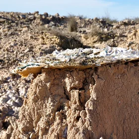 Erosion Pedestal