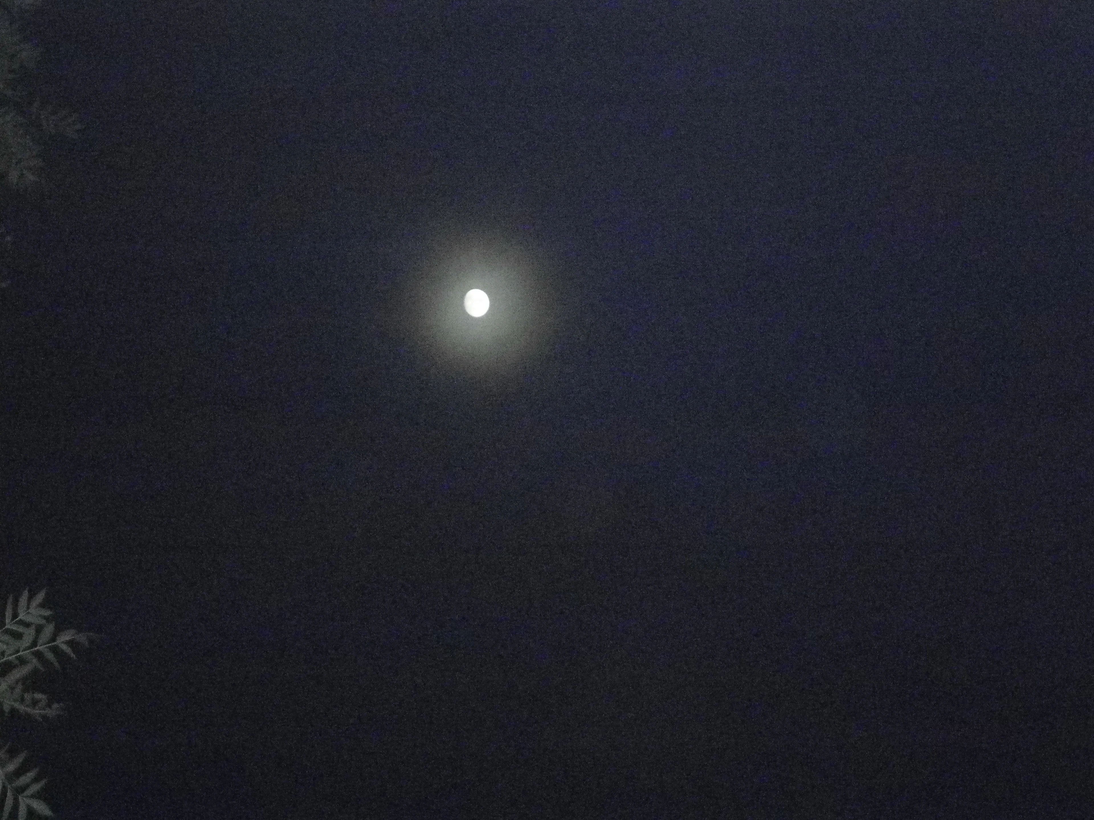 a Moon Halo
