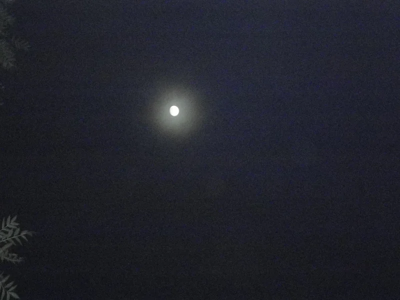 a Moon Halo