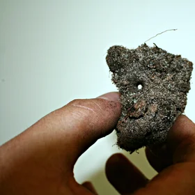 Soil hydrophobicity as a strategy for water harvesting
