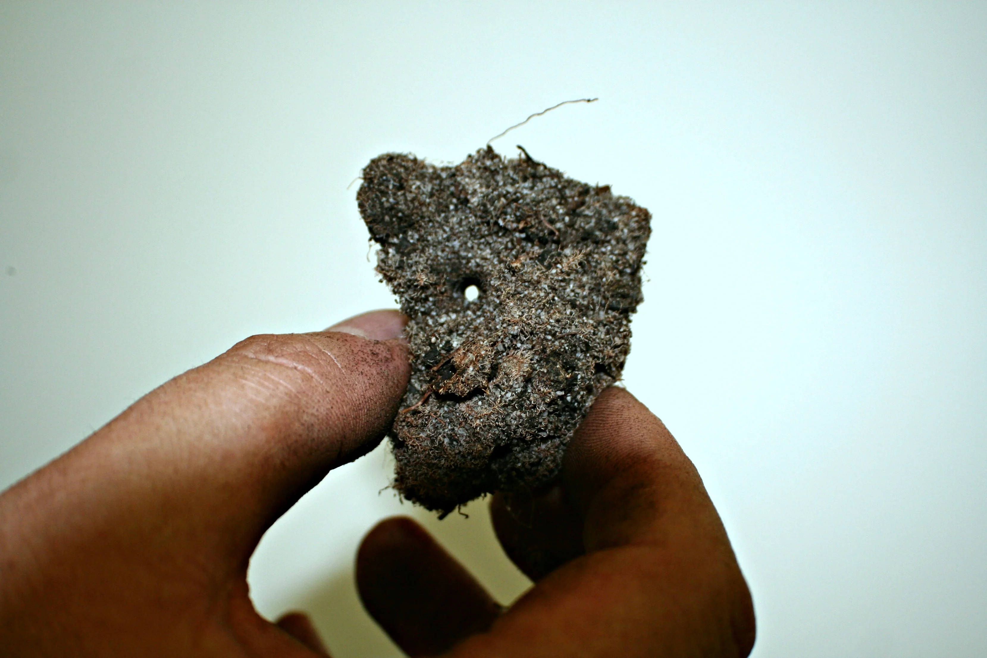 Soil hydrophobicity as a strategy for water harvesting