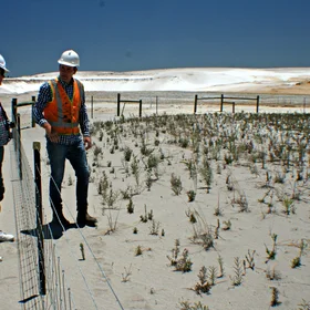 Soil restoration