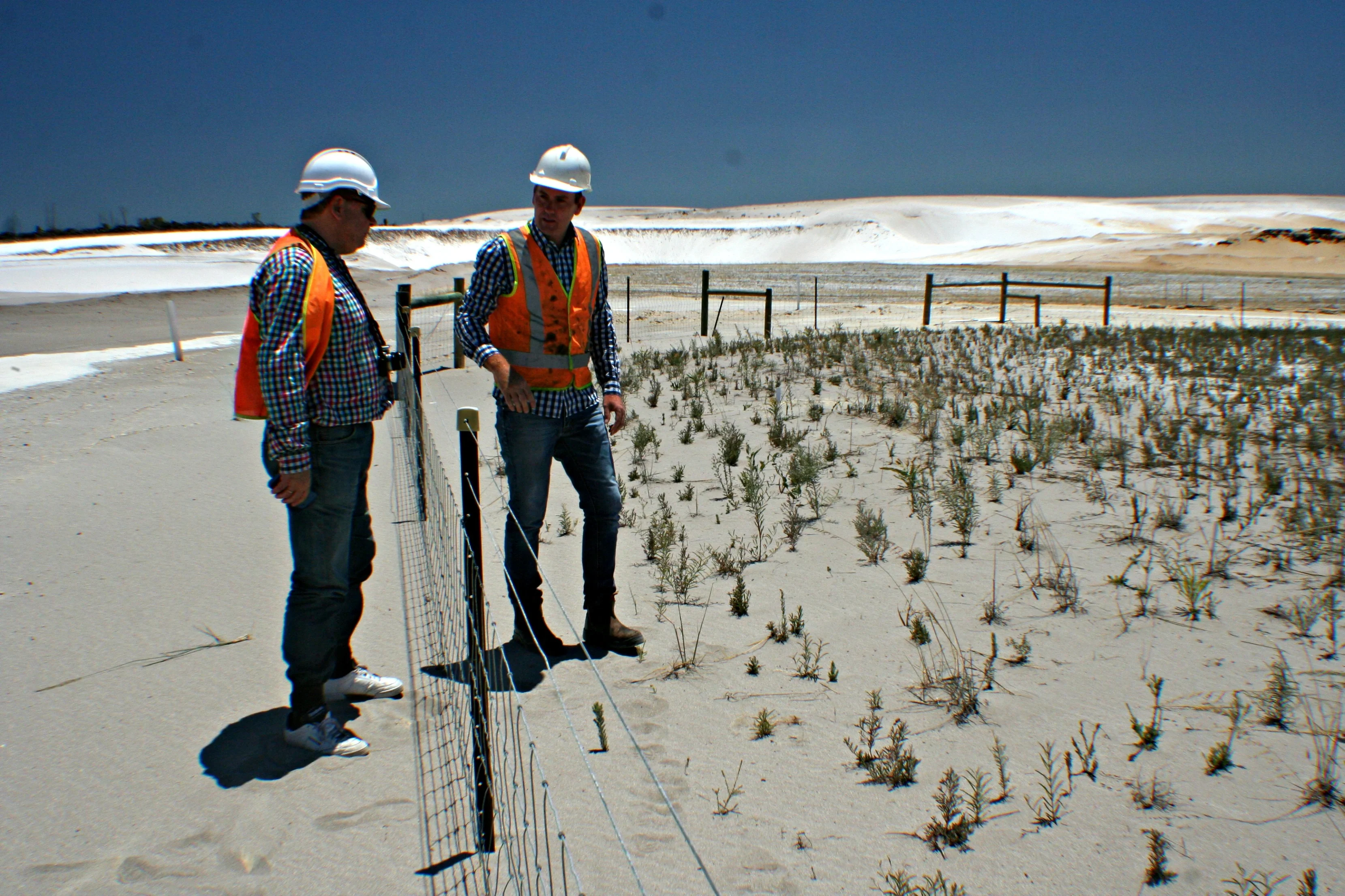 Soil restoration