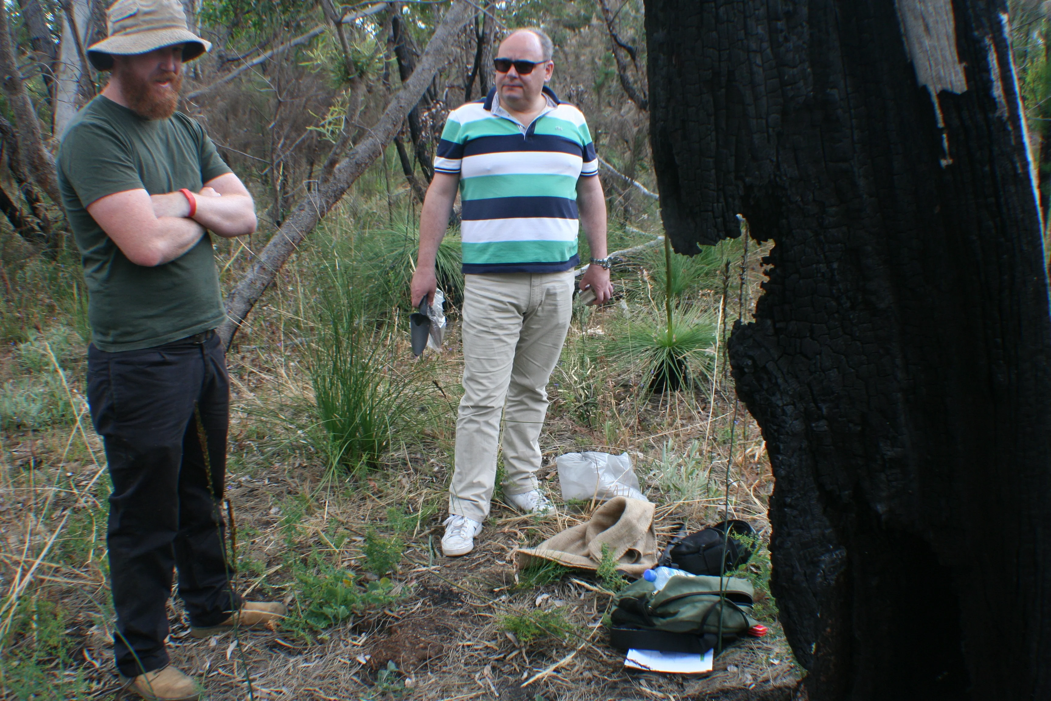 Recovery of a burned area