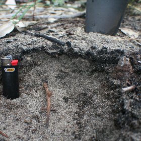 Burned soil profile