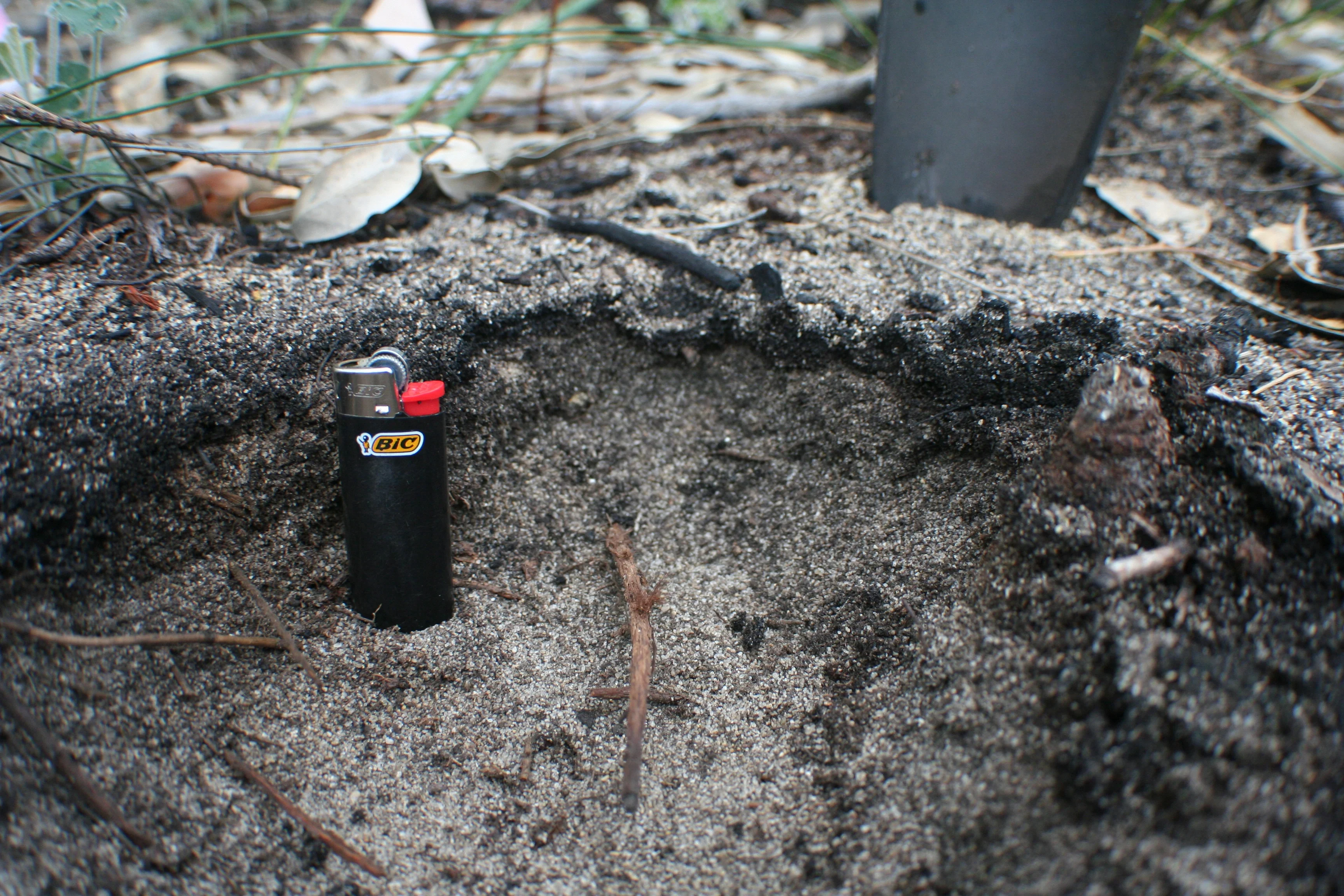 Burned soil profile
