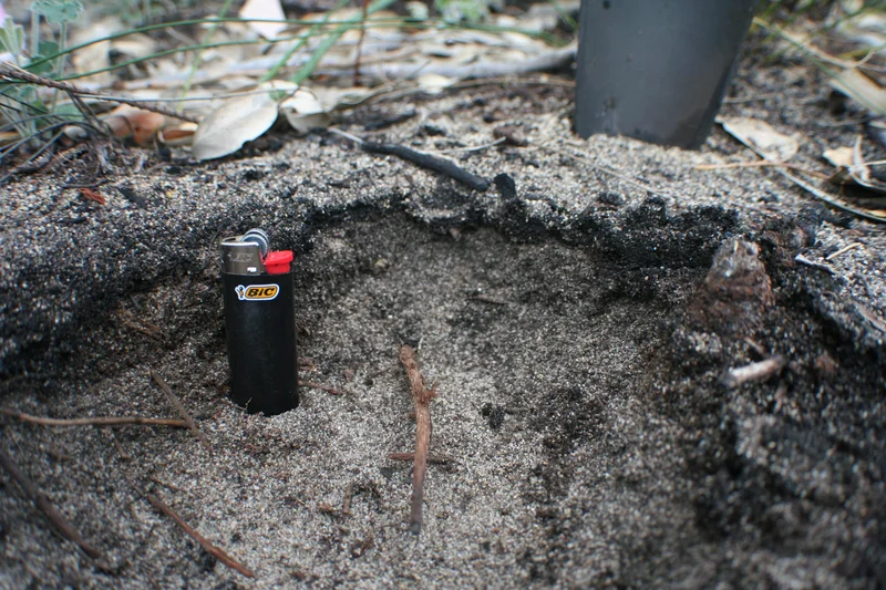 Burned soil profile