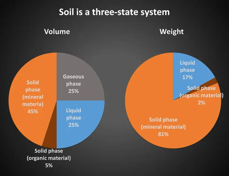 Soil is a 3-state system