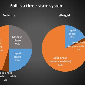 Soil is a 3-state system