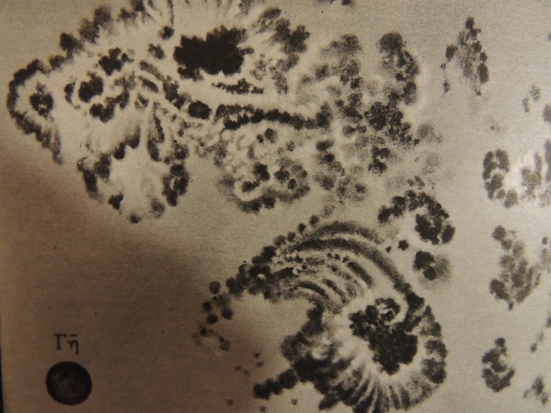 Sunspot drawing from 1894