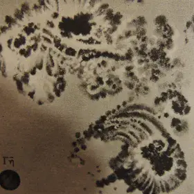 Sunspot drawing from 1894