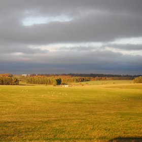 Stonehenge fields