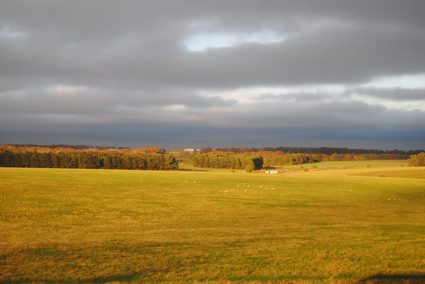 Stonehenge fields