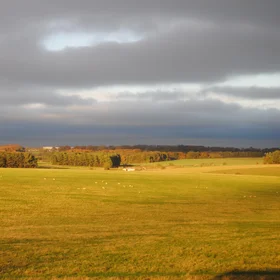 Stonehenge fields