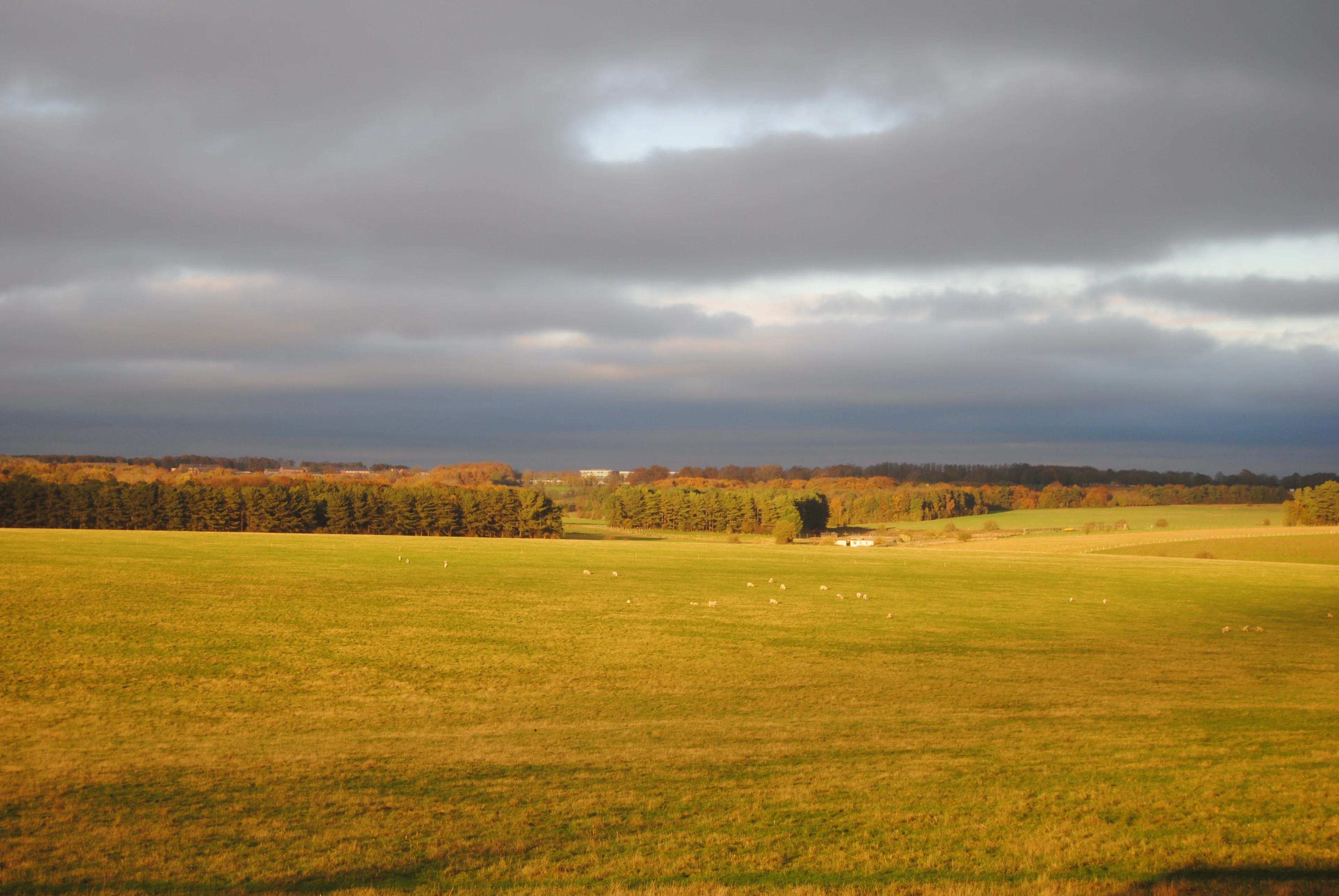 Stonehenge fields