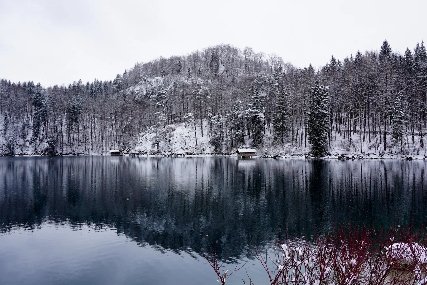 Alpsee, Germany