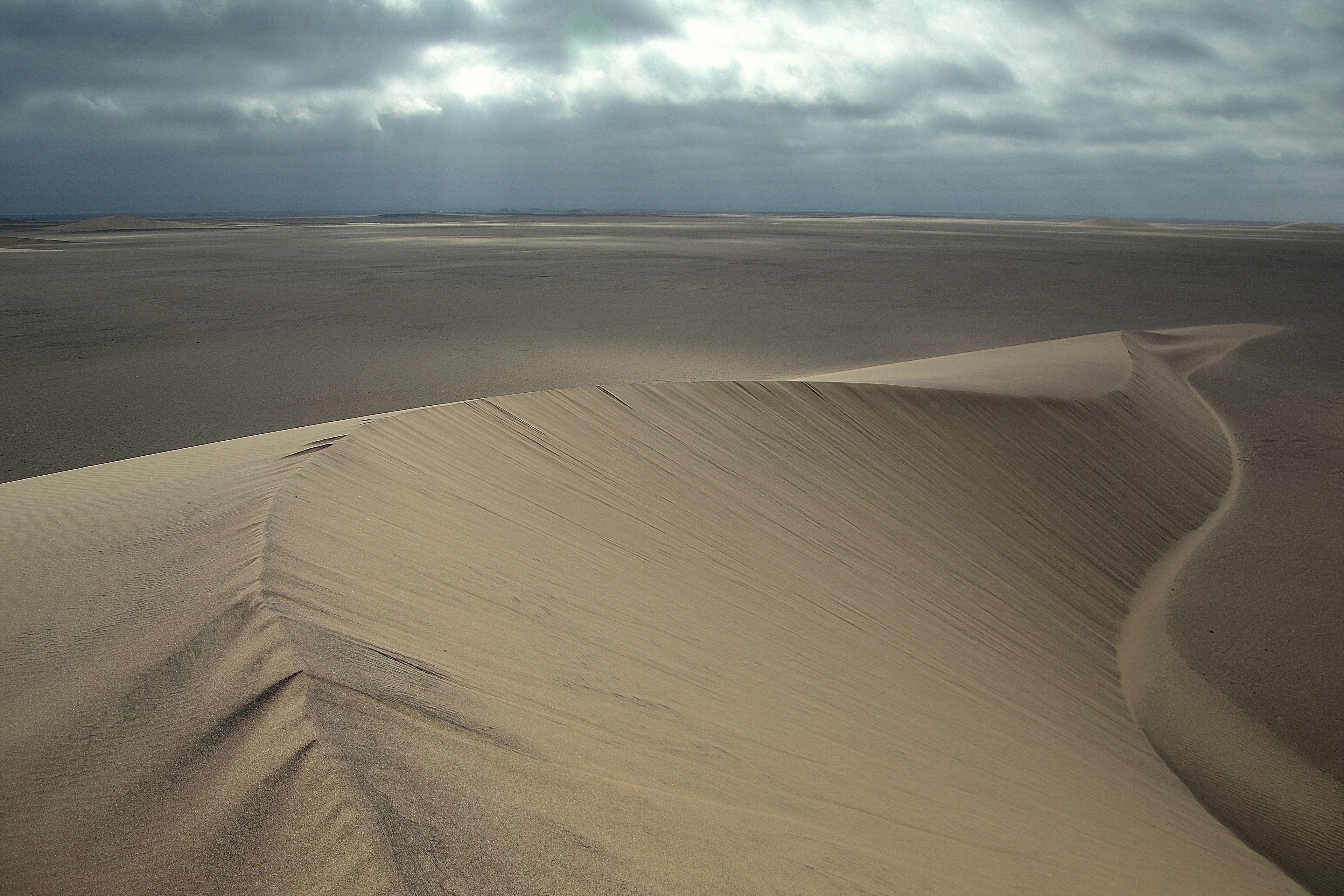 Skeleton Dune