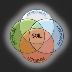 Soil in the interface