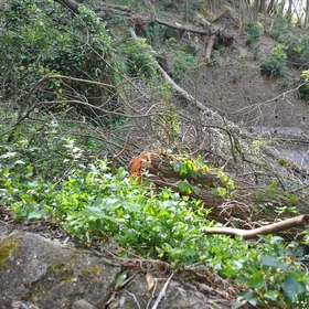 after the strom in Sintra 2013