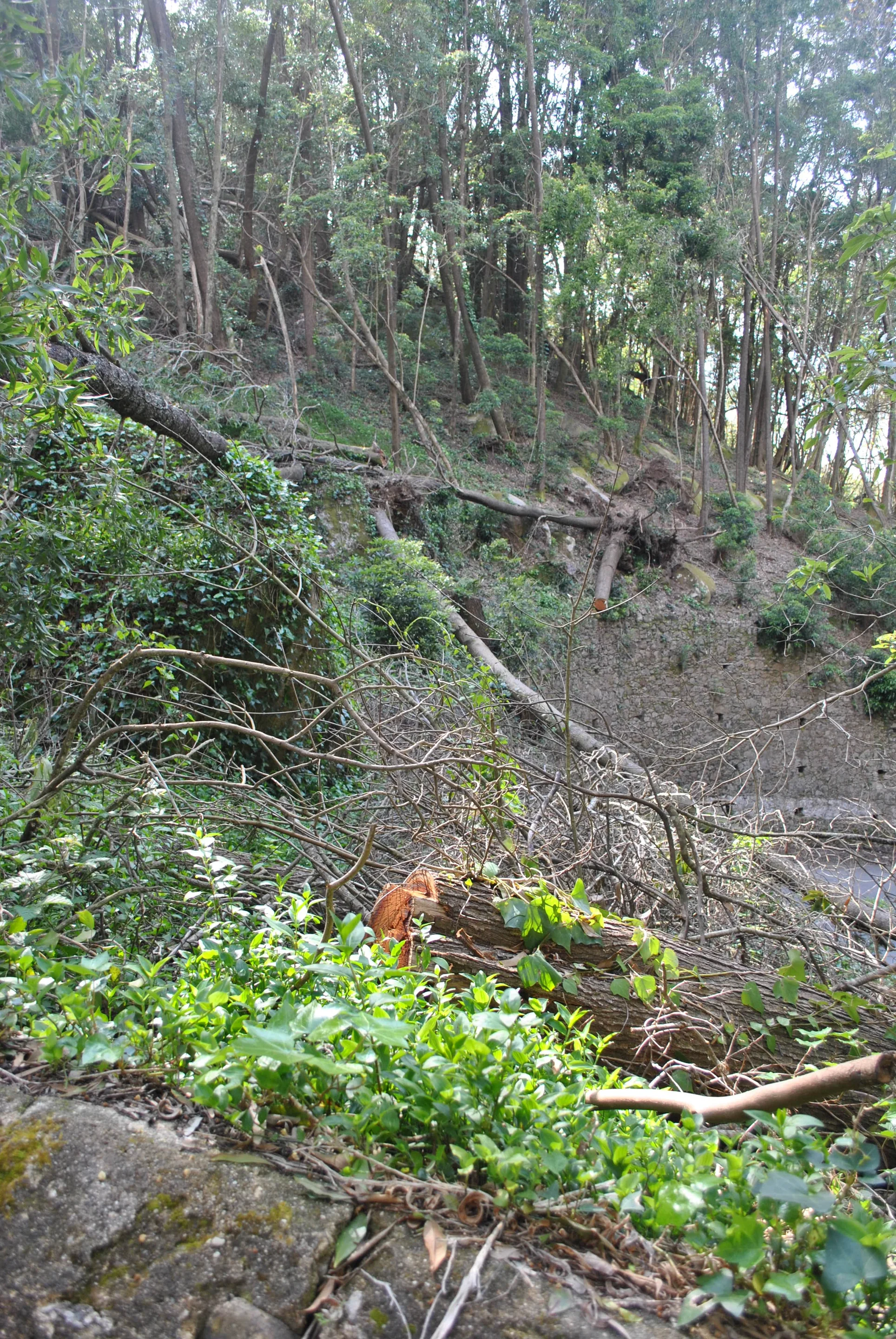 after the strom in Sintra 2013