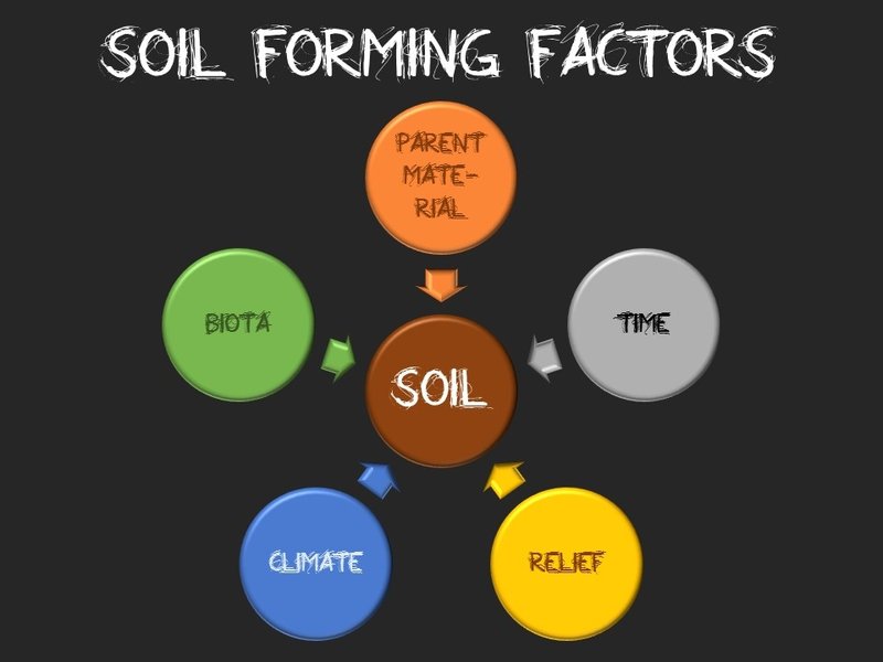 Soil forming factors