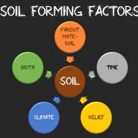 Soil forming factors