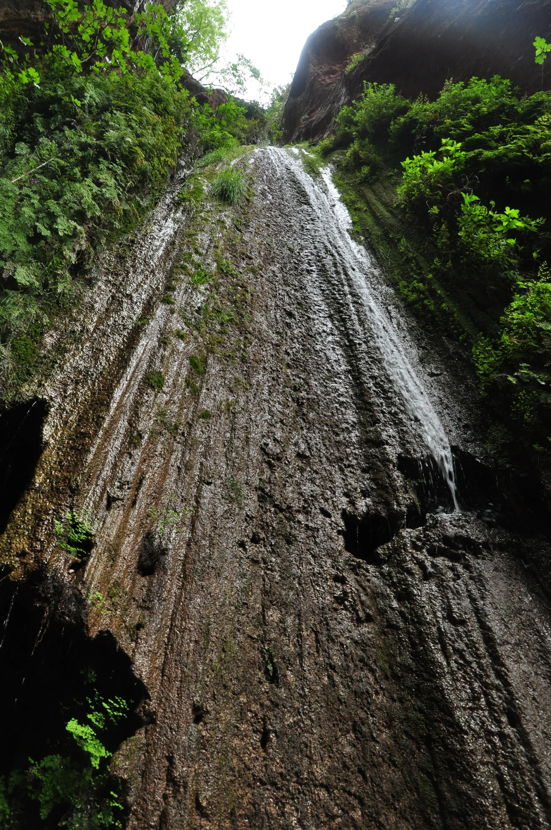 Green waterfall