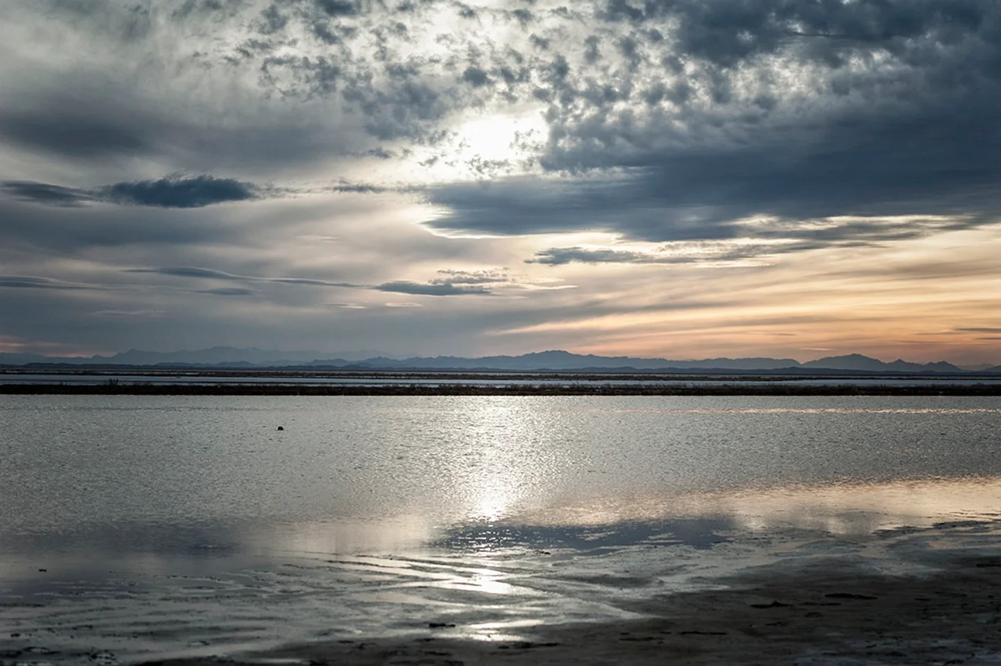 Gavkhouni wetland