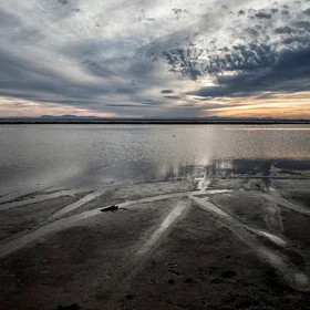 Gavkhooni wetland