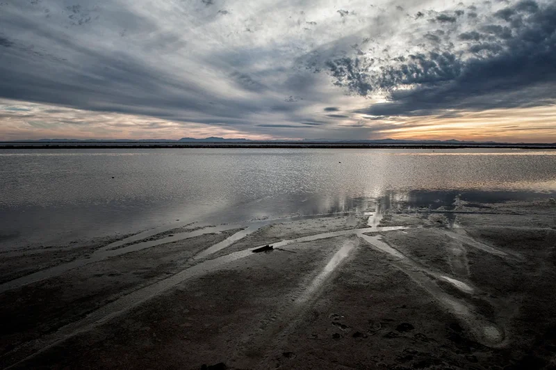 Gavkhooni wetland