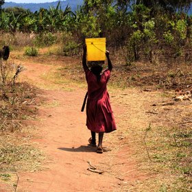 Daily Journey for Water. Daily Absence from School. (Tanzania)