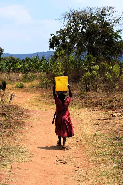 Daily Journey for Water. Daily Absence from School. (Tanzania)