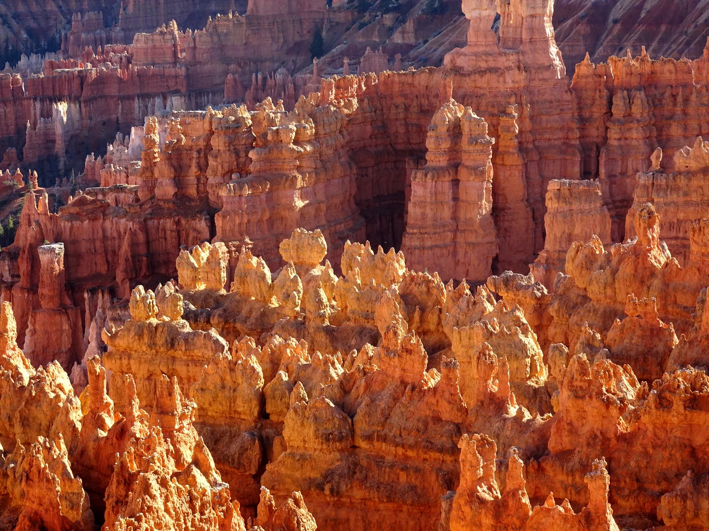 Orange hoodoos
