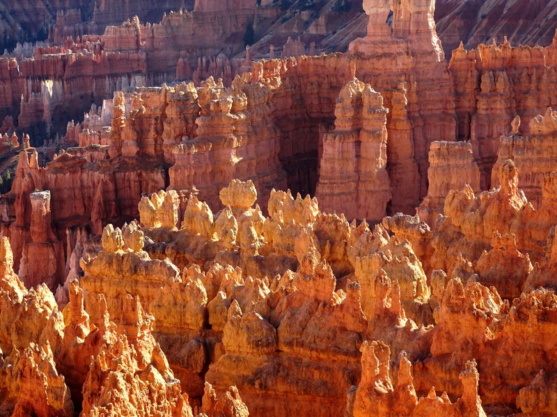 Orange hoodoos