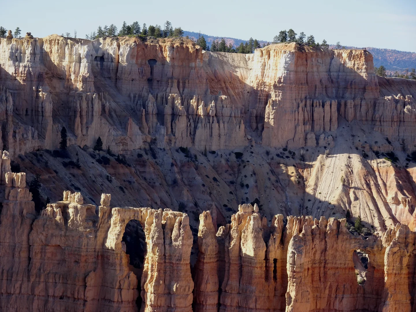 White hoodoos