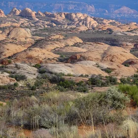 Petrified Dunes