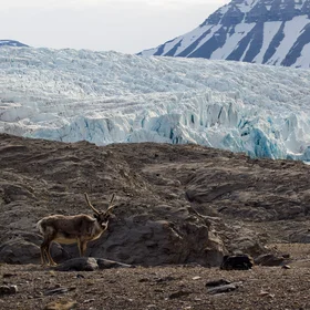 Nordenskiöldbreen Glacier