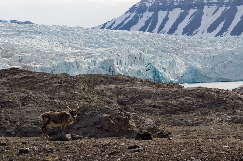 Nordenskiöldbreen Glacier