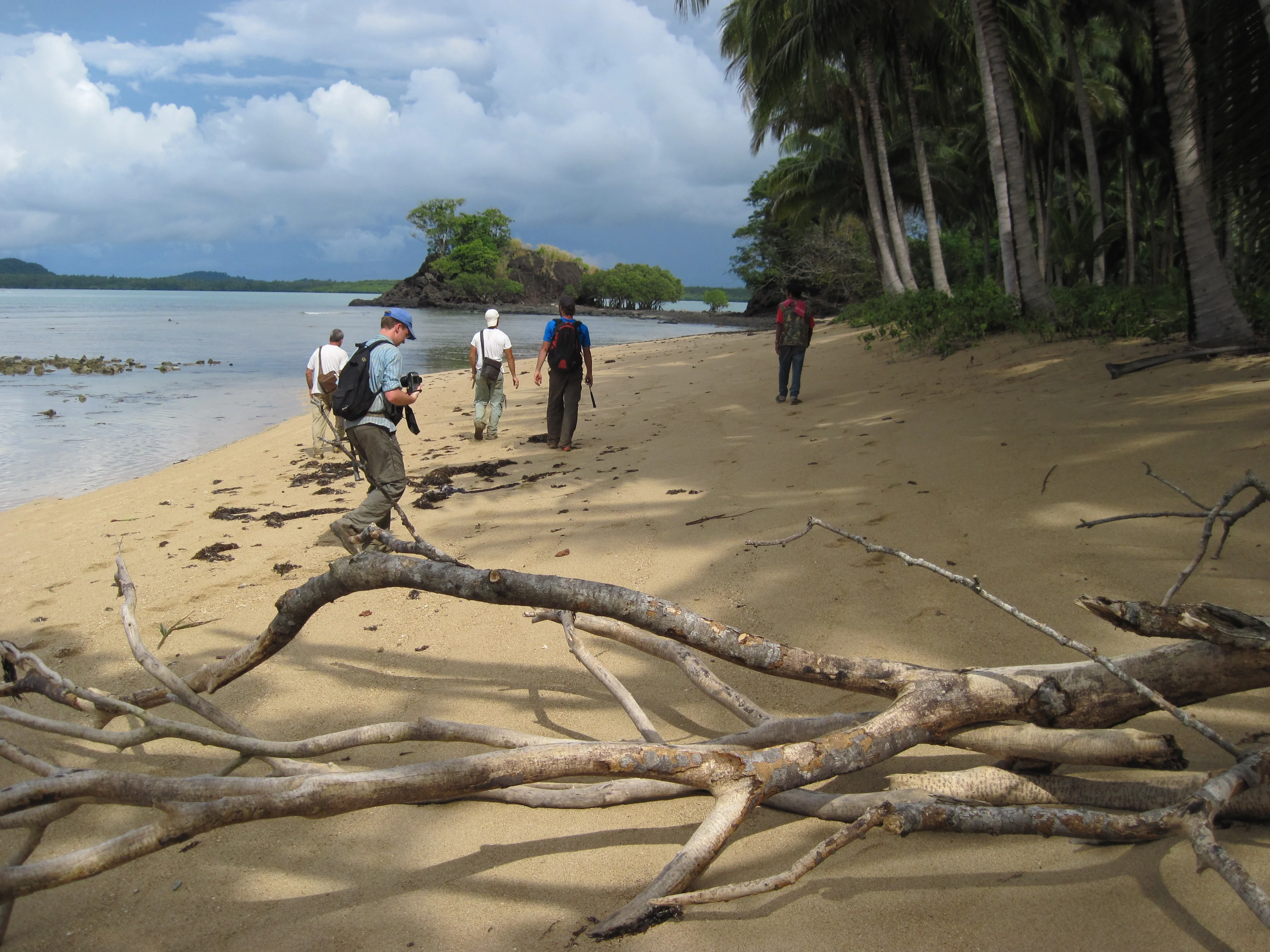 Pillow lavas on Palawan