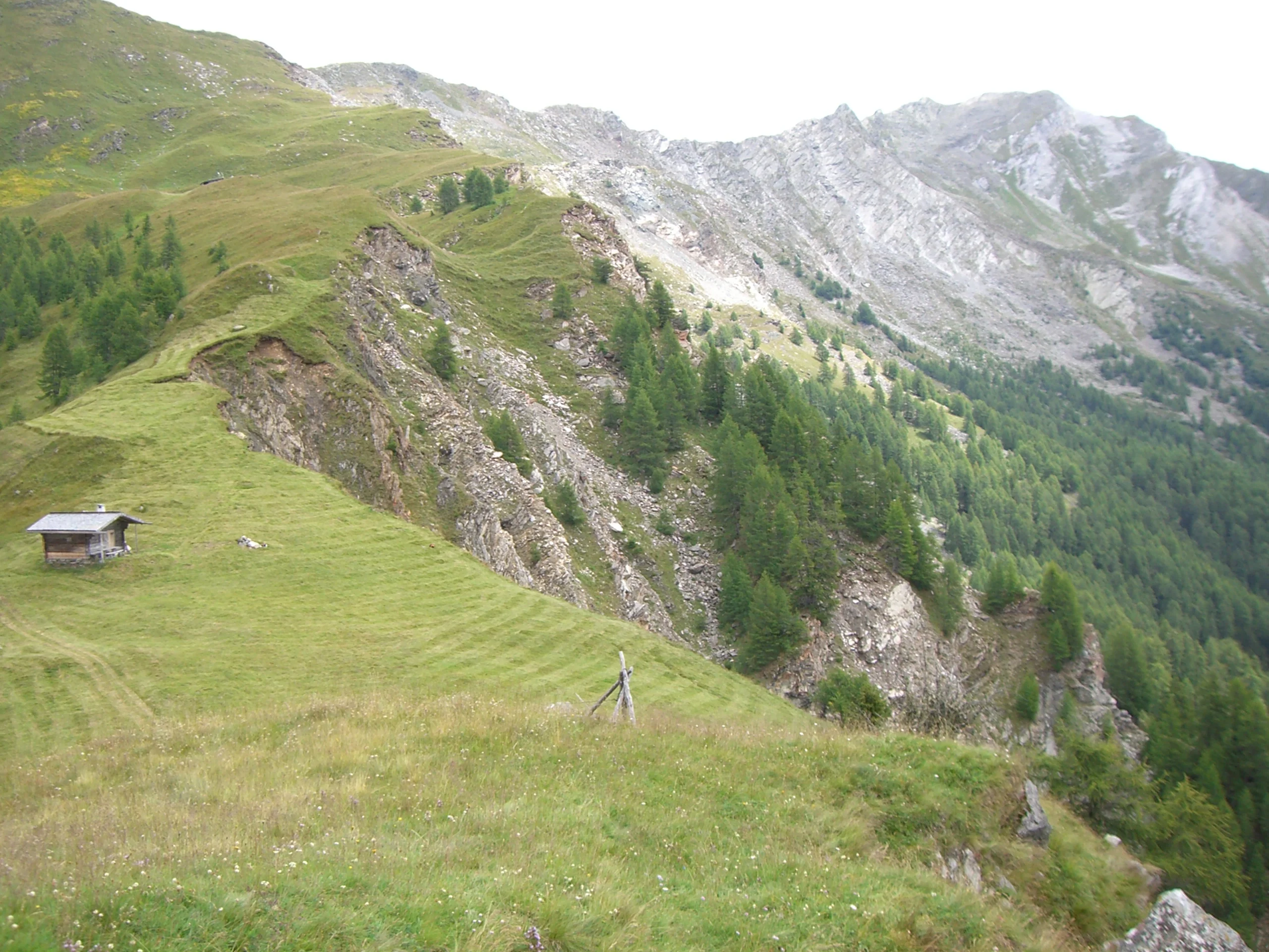 Ganderberg landslide - Deep-Seated Gravitational Slope Deformation crown