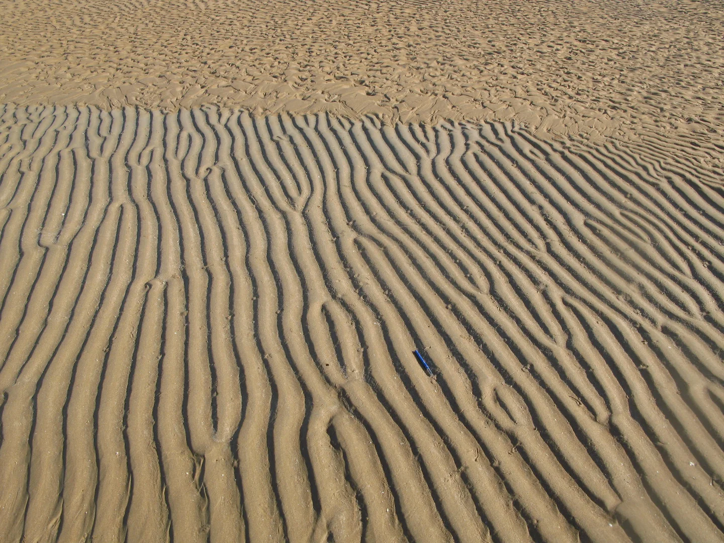 Symmetric ripple marks 