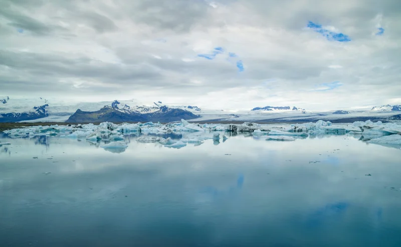 Icebergs in summer